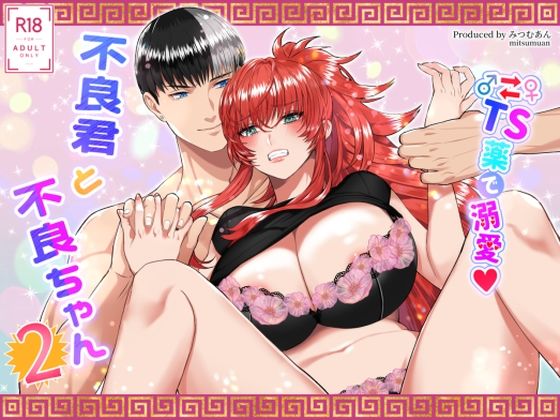 【〜TS薬で溺愛〜 不良君と不良ちゃん 2】表紙画像