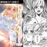 【奪われた立場～王から王妃へと変えられた俺～】表紙画像