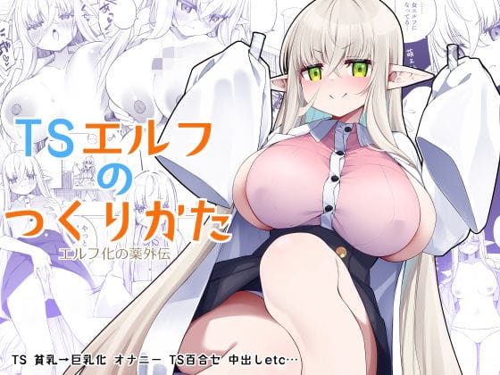 【TSエルフのつくりかた】表紙画像