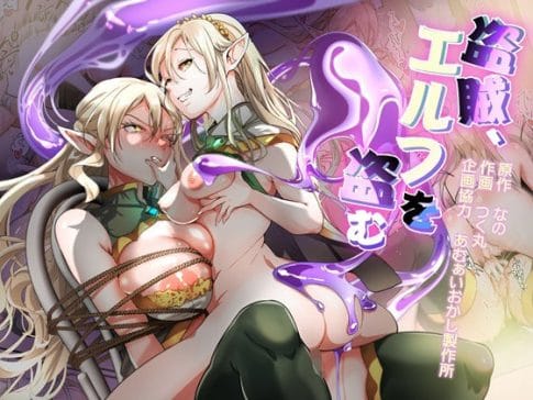 【盗賊、エルフを盗む】表紙画像